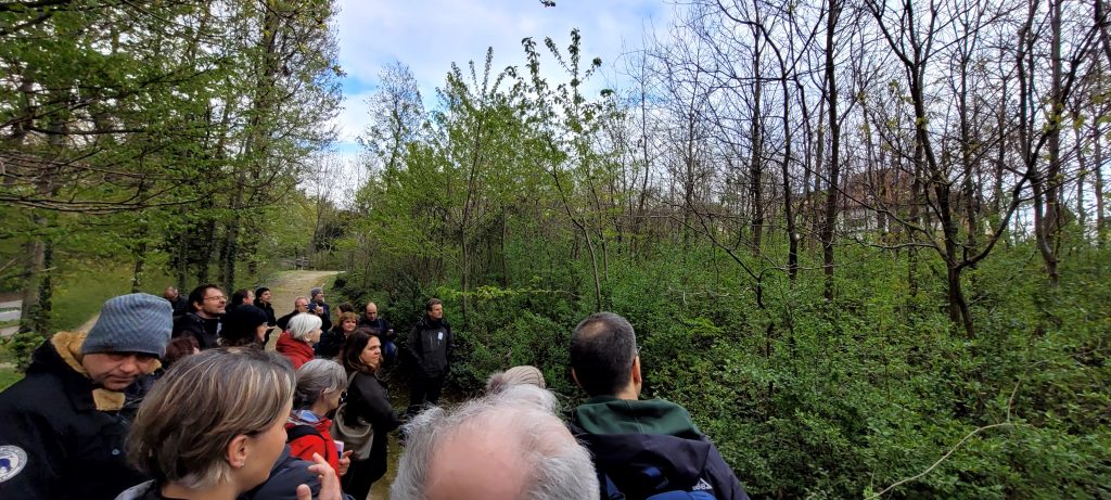 A group pf participants learn about Young, regenerating forest with medium-height trees planted 15 years ago in Zagreb City.