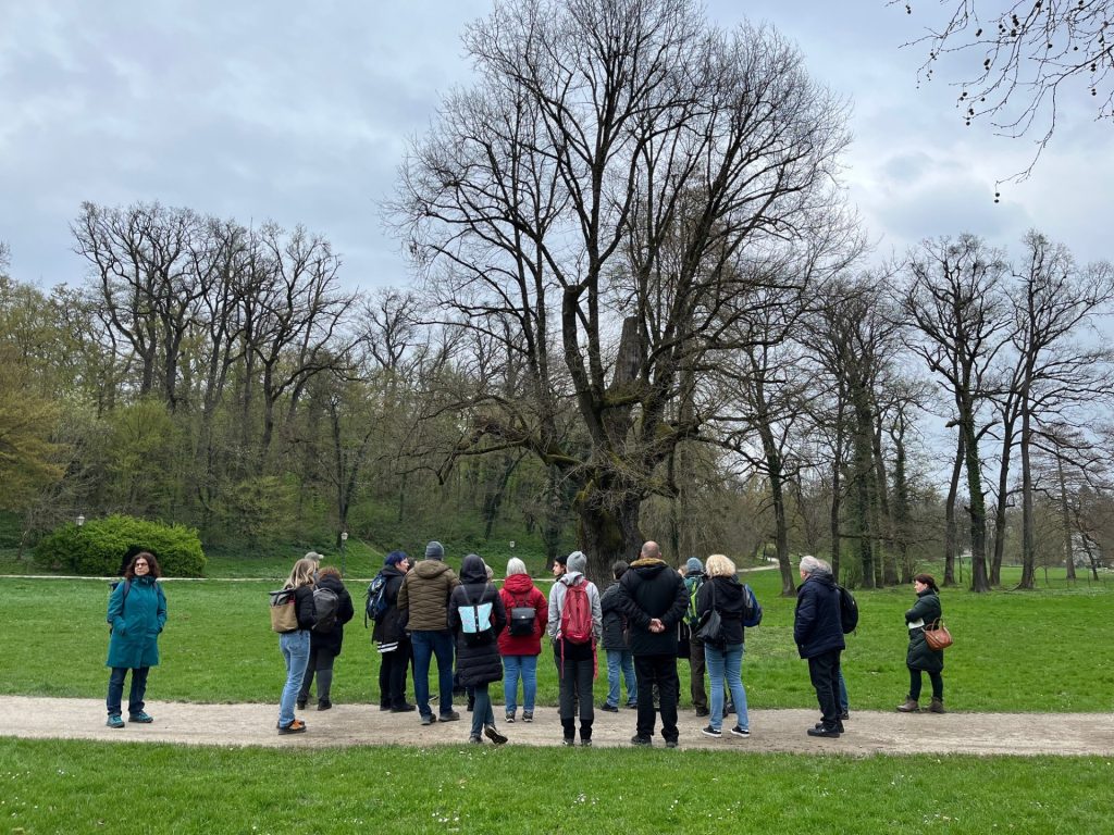 A group of people standing in front of a old, big tree - estimaed to be more tham 250 years old.