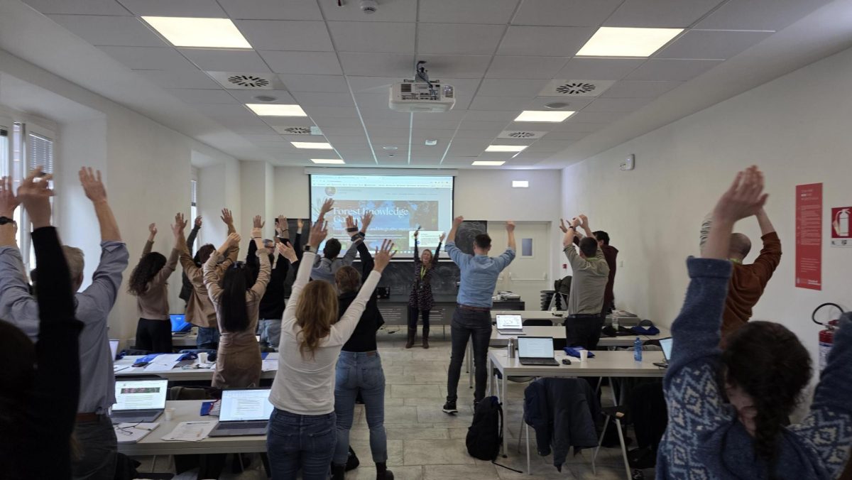 Performing trees before the Gateway presentation with the FORWARDS Consortium