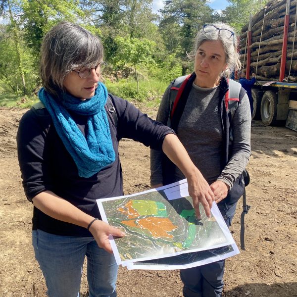 El Periódico: “Europe turns Moianès into a laboratory for how tree removal can help curb large wildfires”