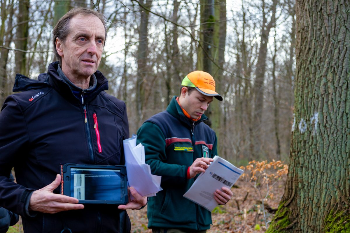 Marteloscope exercise in a forest close to Bonn, Germany