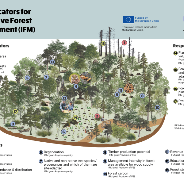 New Article on Integrative Forest Management Indicators Published in Irish Practitioner’s Magazine