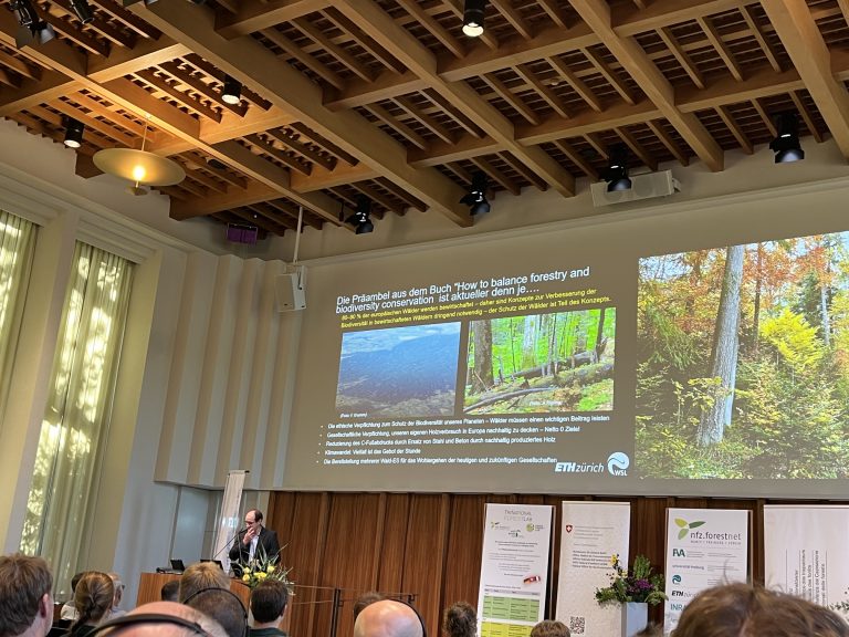 Frank Krumm setting the stage
